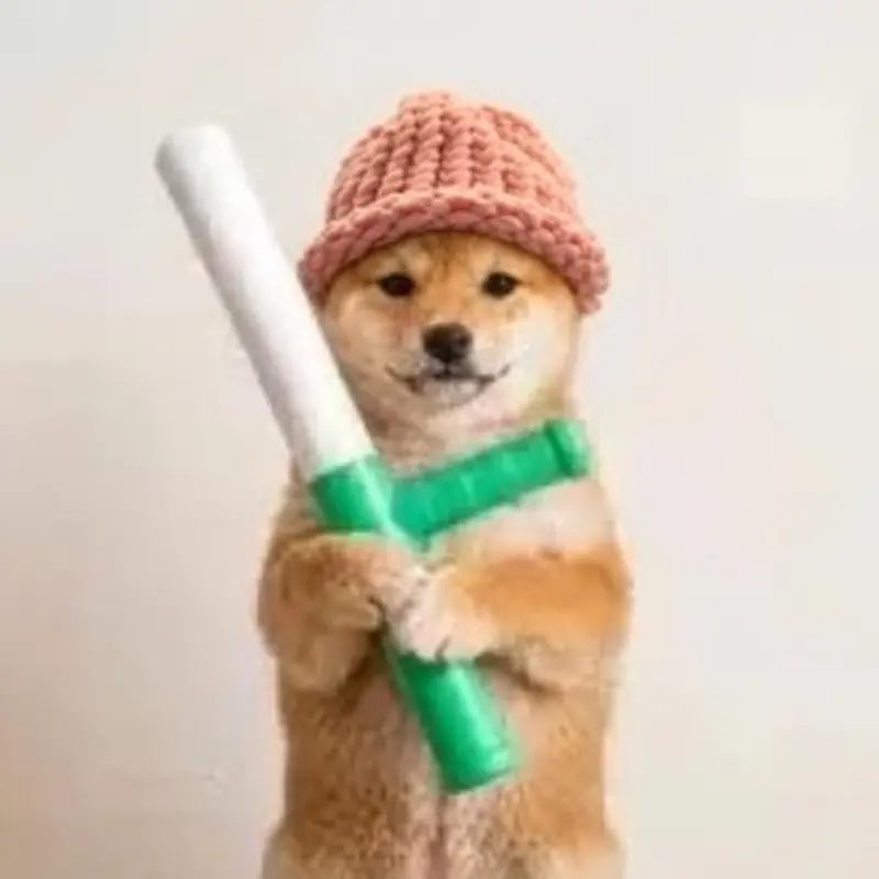 Shiba Inu wearing a pink knitted hat and holding a white and green baton